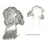 Giromitra Esculenta by Pearl Neithercut