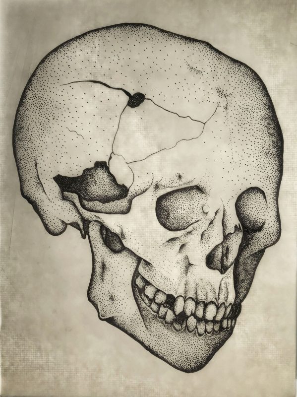 Stipple Skull by Pearl Neithercut